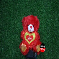 sweet love teddy for valentine day